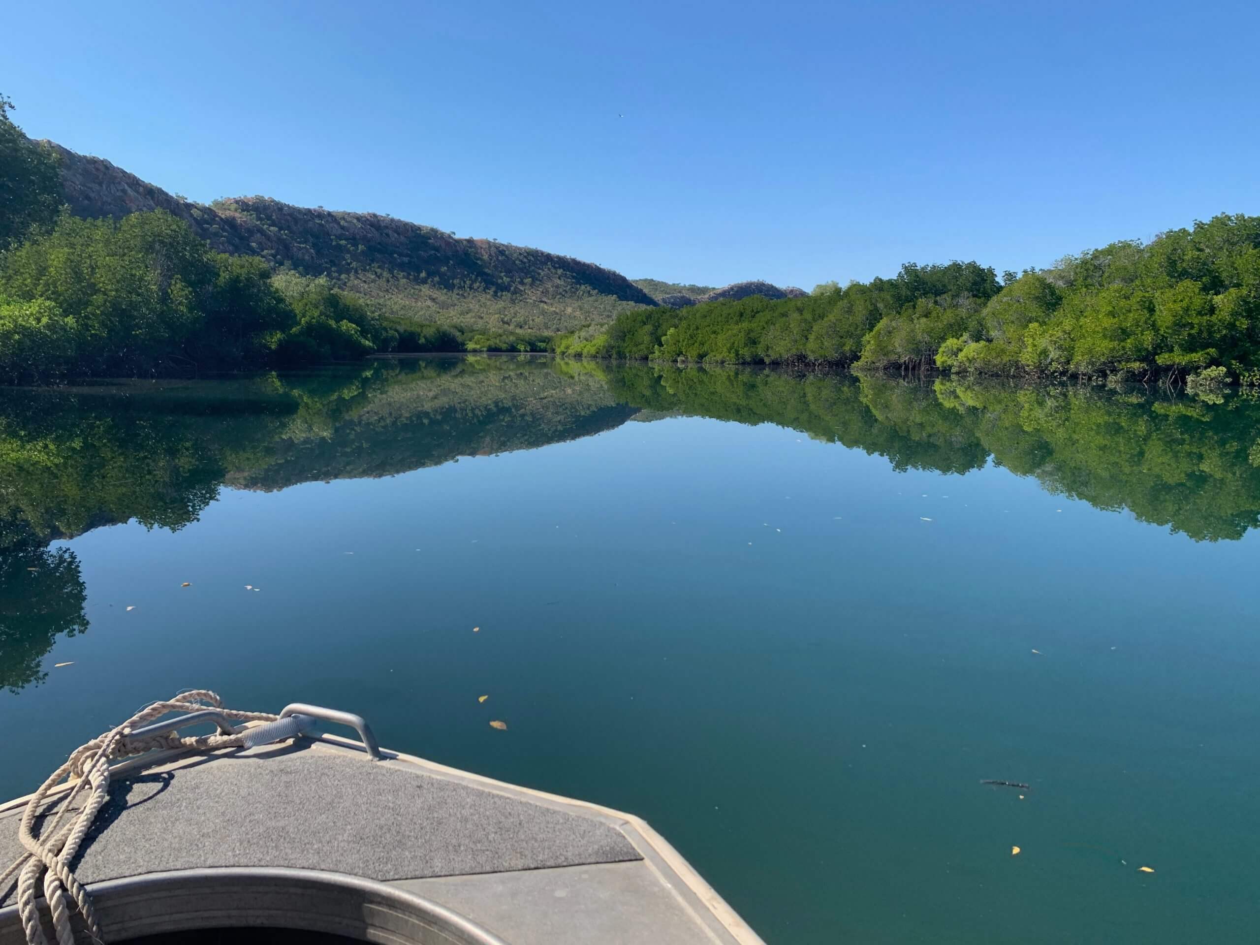 Reel teaser fishing adventures