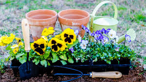 Spring Into Action!