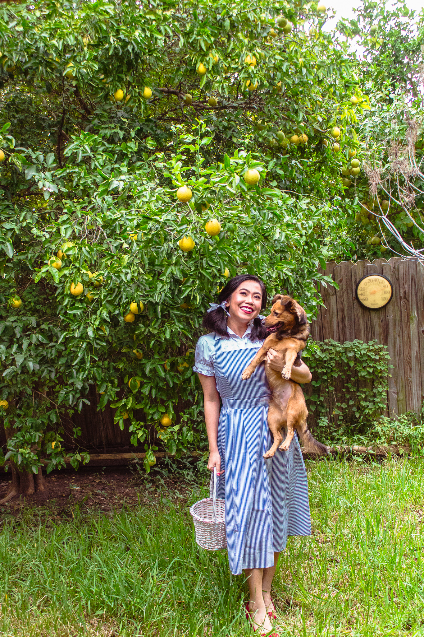 DIY Halloween, Wizard of Oz, Dorothy, Toto costume