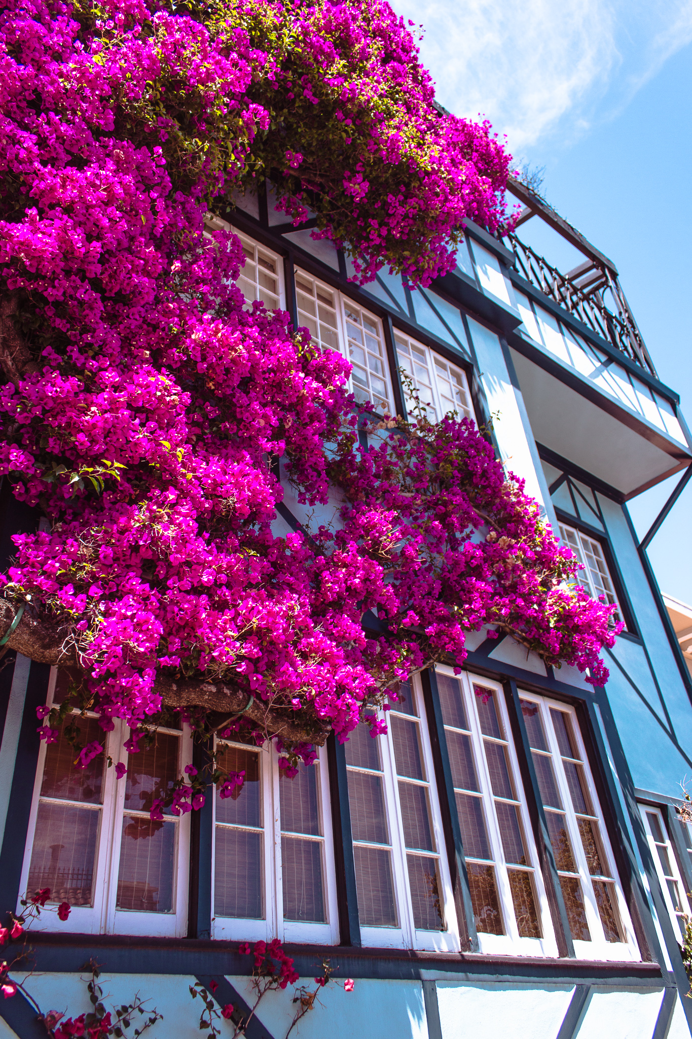 Where I've Been in San Francisco: Travel Photo Diary, Reesa Rei, San Fran, SF