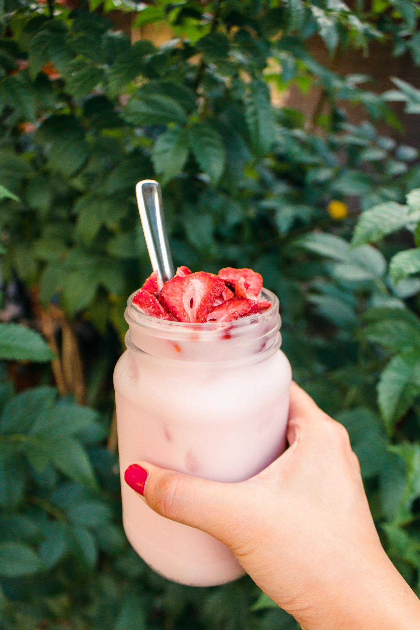 Starbucks Pink Drink Recipe