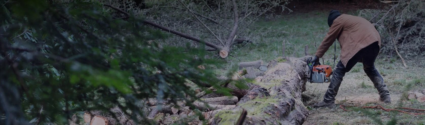 There are many ways for finding a construction job. Top 10 Best Tree Removal Services In San Jose Ca Angi