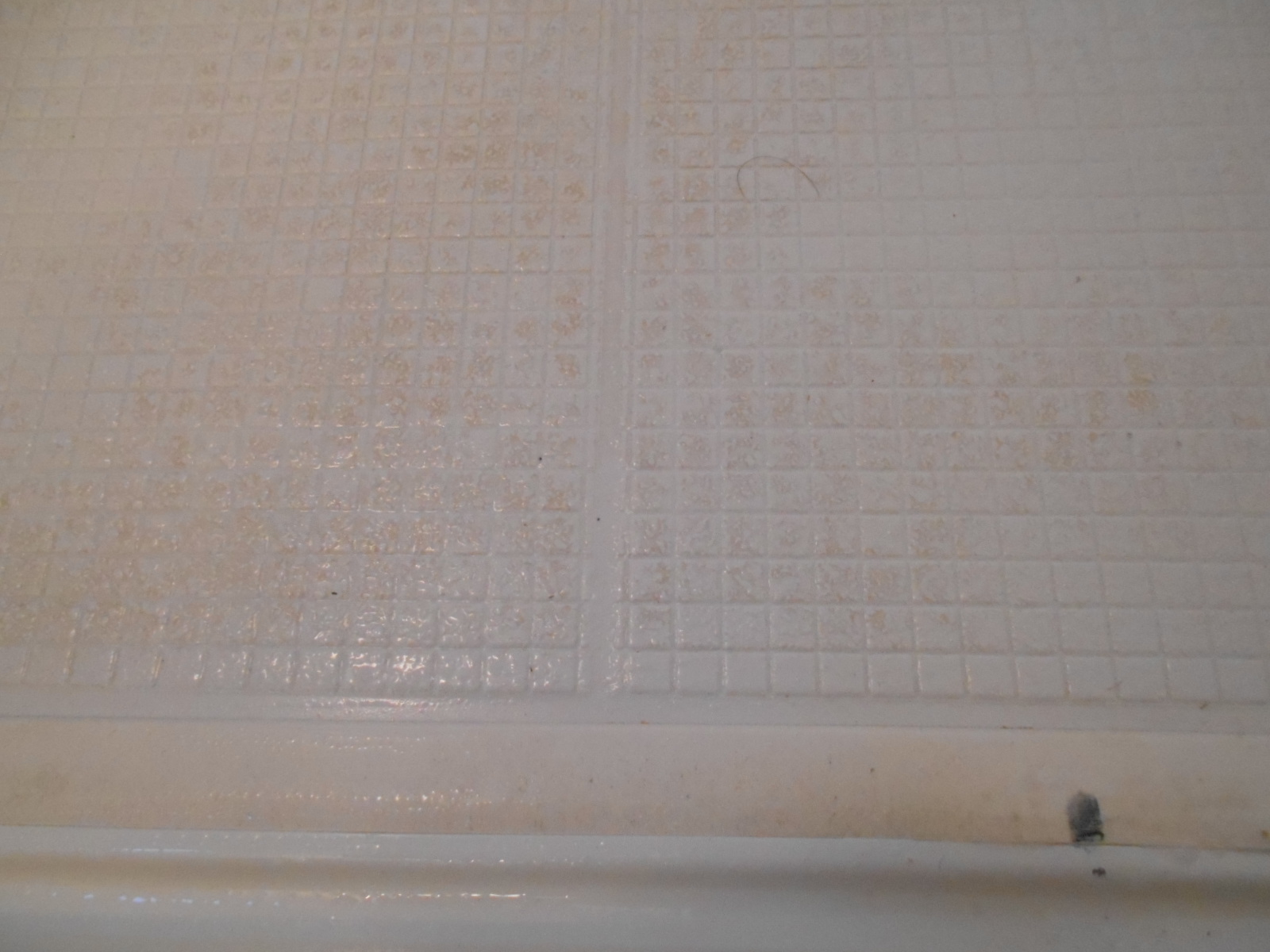 浴室洗い場　前