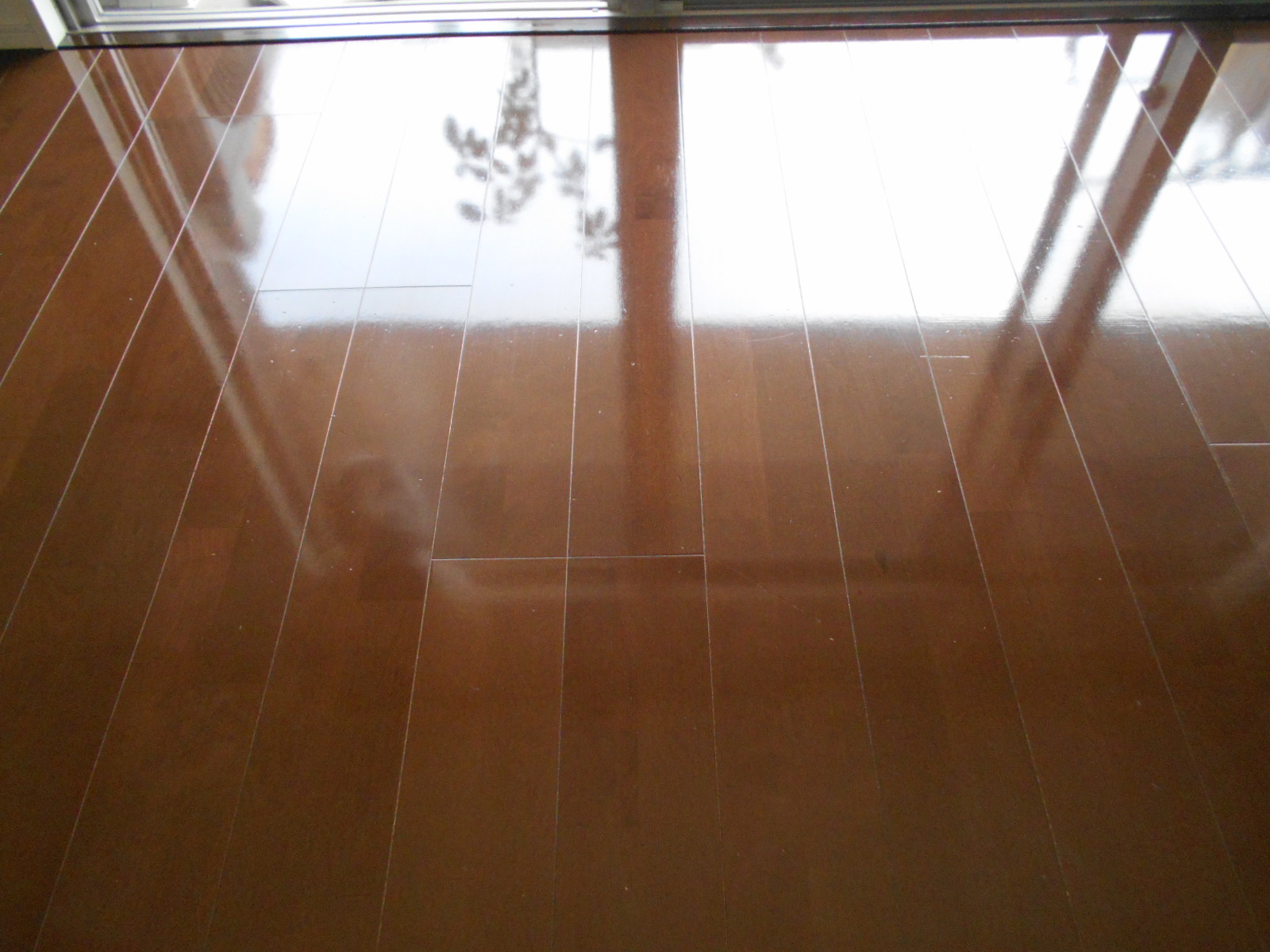 フローリング１　後