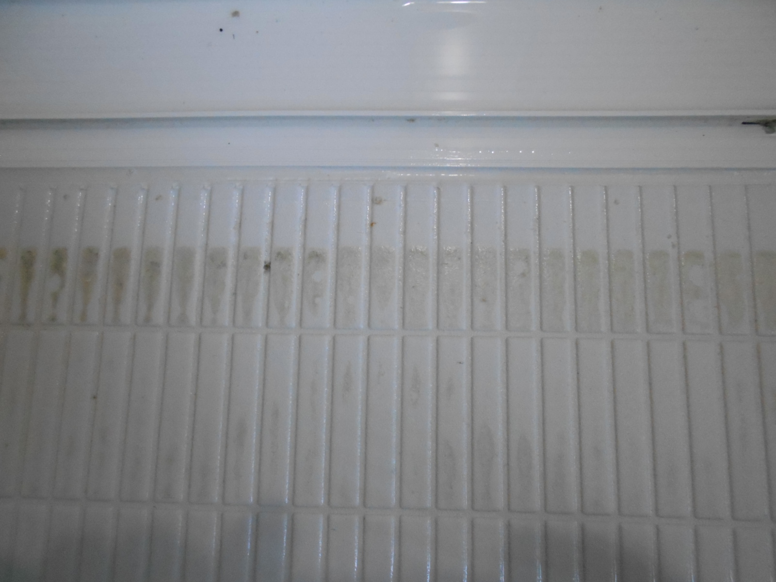 浴室入口床　前