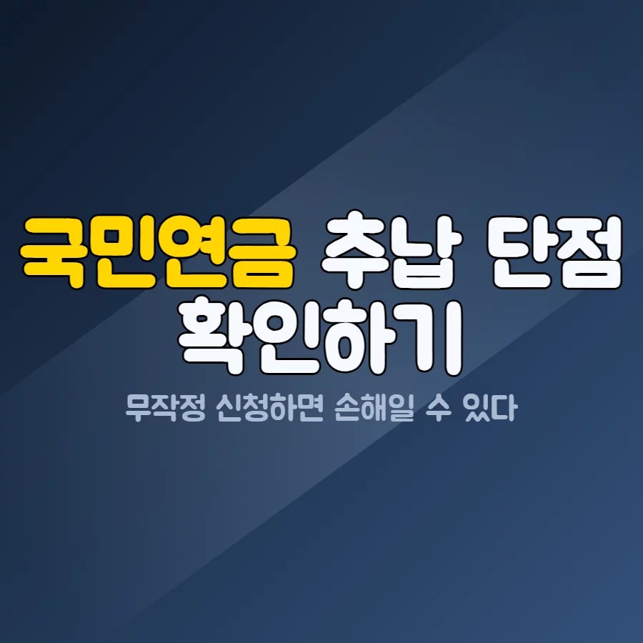 국민연금 추납 보험료 부담을 계산하는 모습