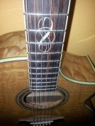 20140128_112817 Ibanez Acoustic/Electric