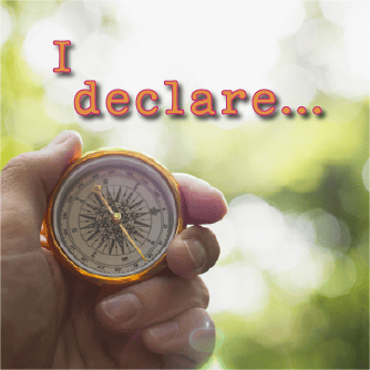 Read more about the article I declare…