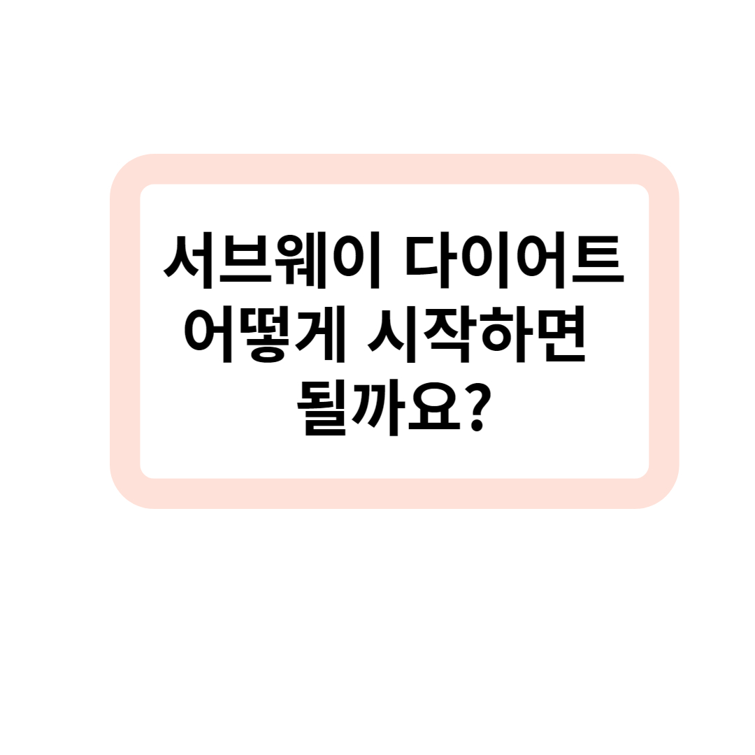 서브웨이 다이어트 표지