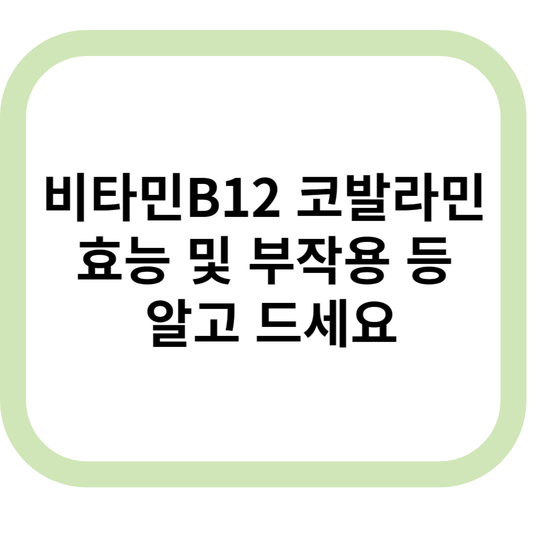 비타민B12 표지