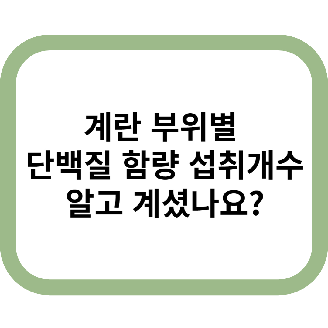 계란 부위별 단백질 함량 및 섭취개수 알고 계셨나요