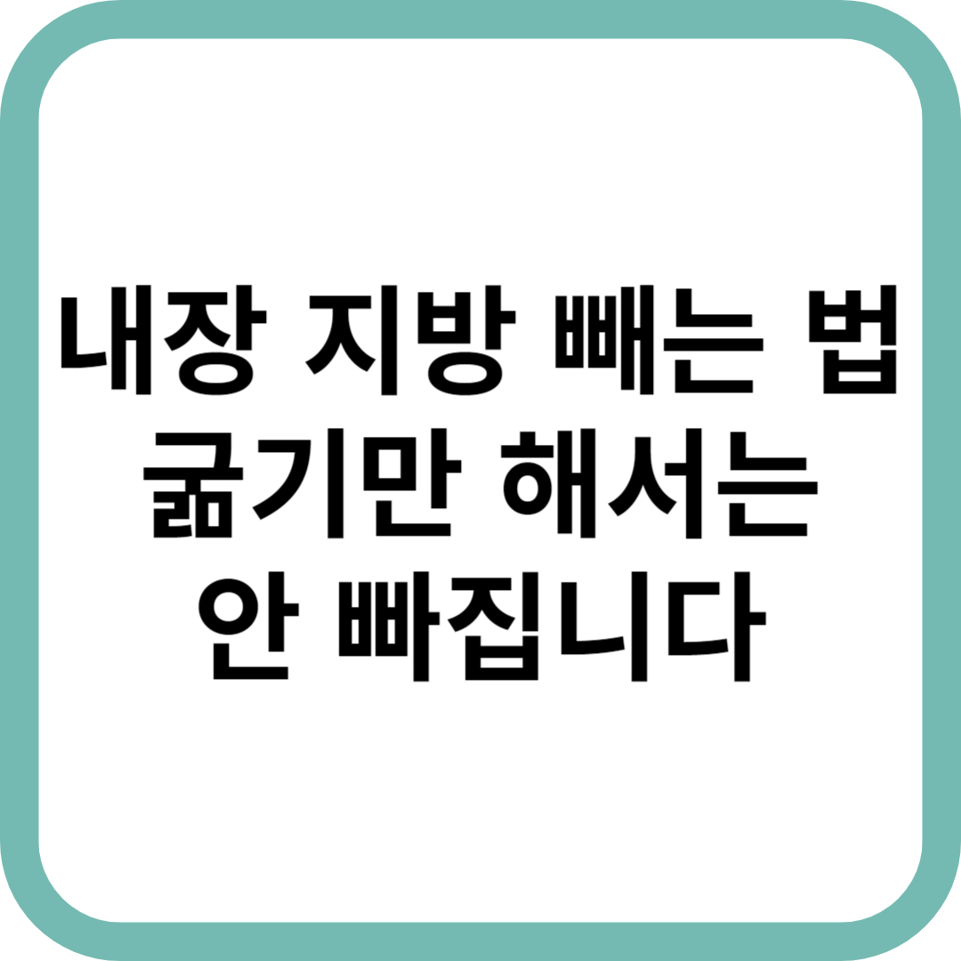 내장지방 빼는법 표지 이미지