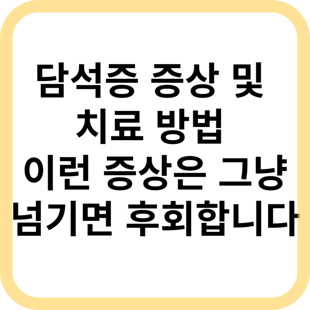 담석증 메인표지 이미지