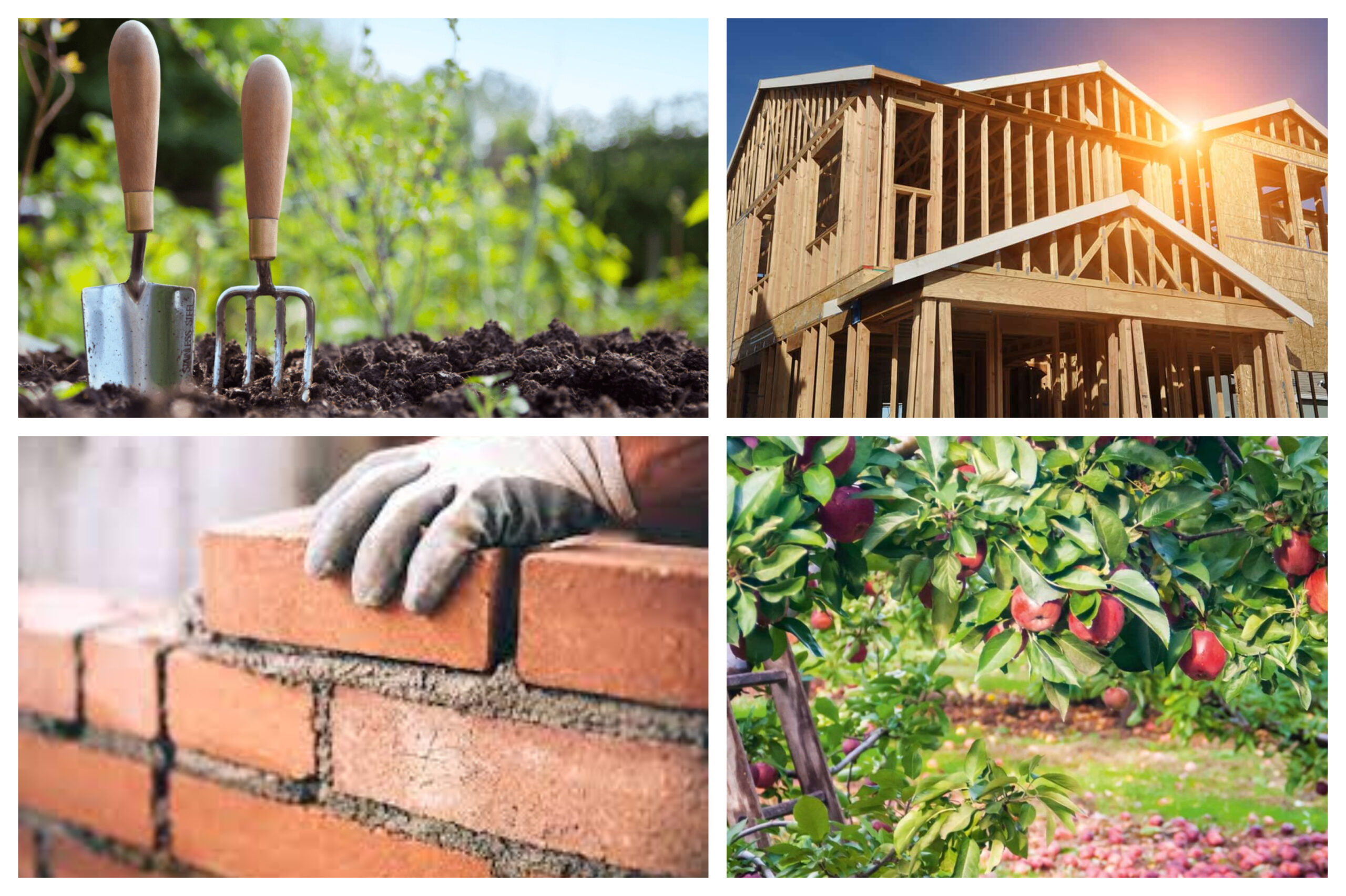 61. GOD – MASTER BUILDER AND EXPERT PLANTER