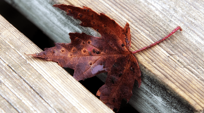 97. DO YOU FEEL LIKE YOU HAVE FALLEN THROUGH THE CRACKS?