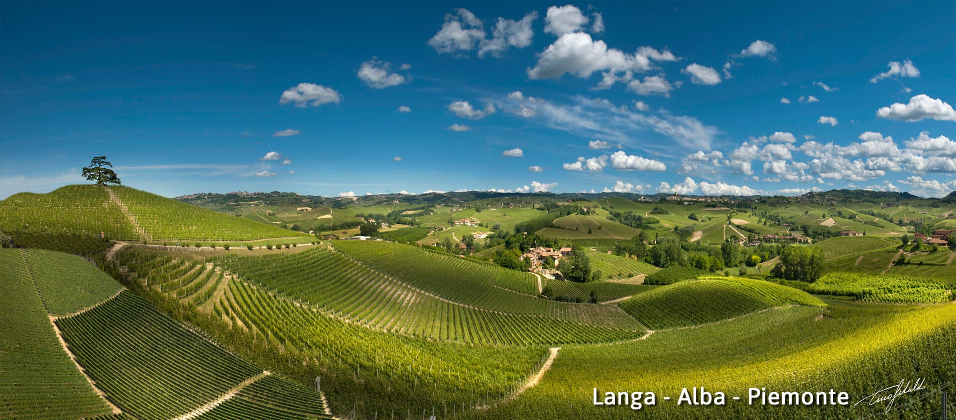 Cesti Natalizi Aziendali Con Prodotti Artigianali Di Alta Qualita Natale 2021 Regali Digusto