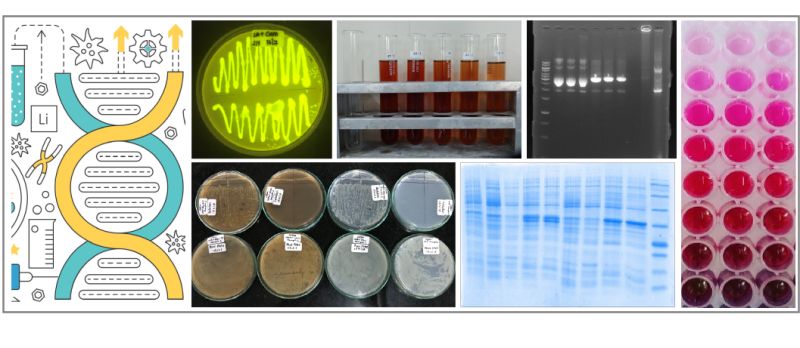 Github Ruia Ruia Ruia Ruia Github Io Site - Gradient Background Collection - 8K Quality