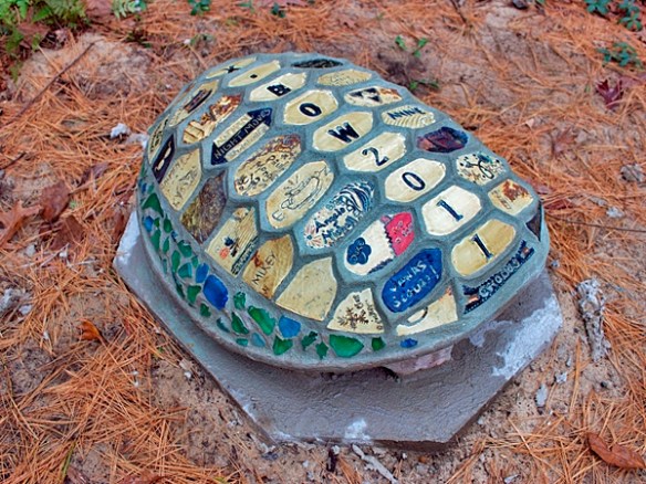 Turtle Shell