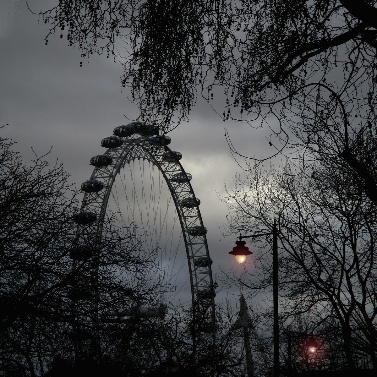 Eye to the Sky