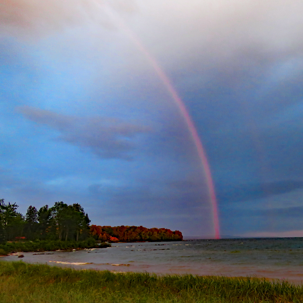 Birch Point Rainbow