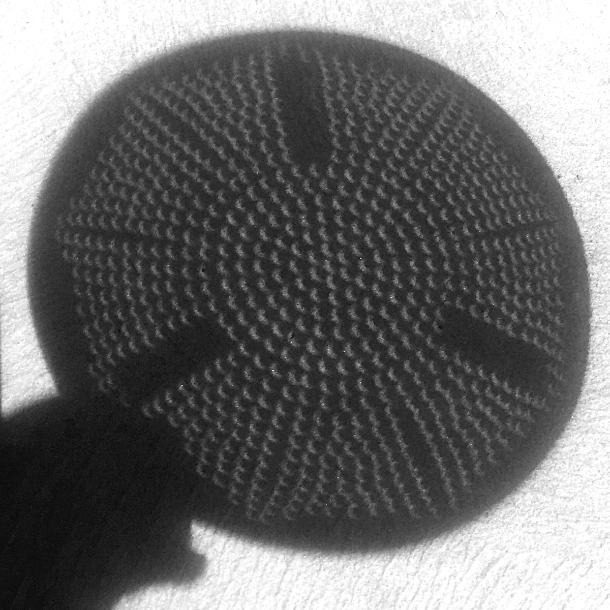 Crescent Colander Shadow