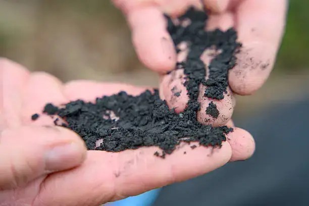 Pflanzenkohle aus der Pyrolyse von REW Regenis – hochwertiger Kohlenstoffspeicher für die Kreislaufwirtschaft