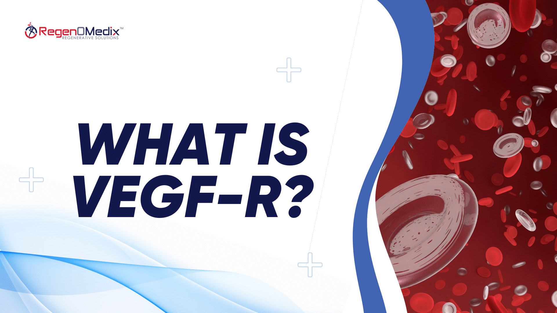 What is VEGF-R
