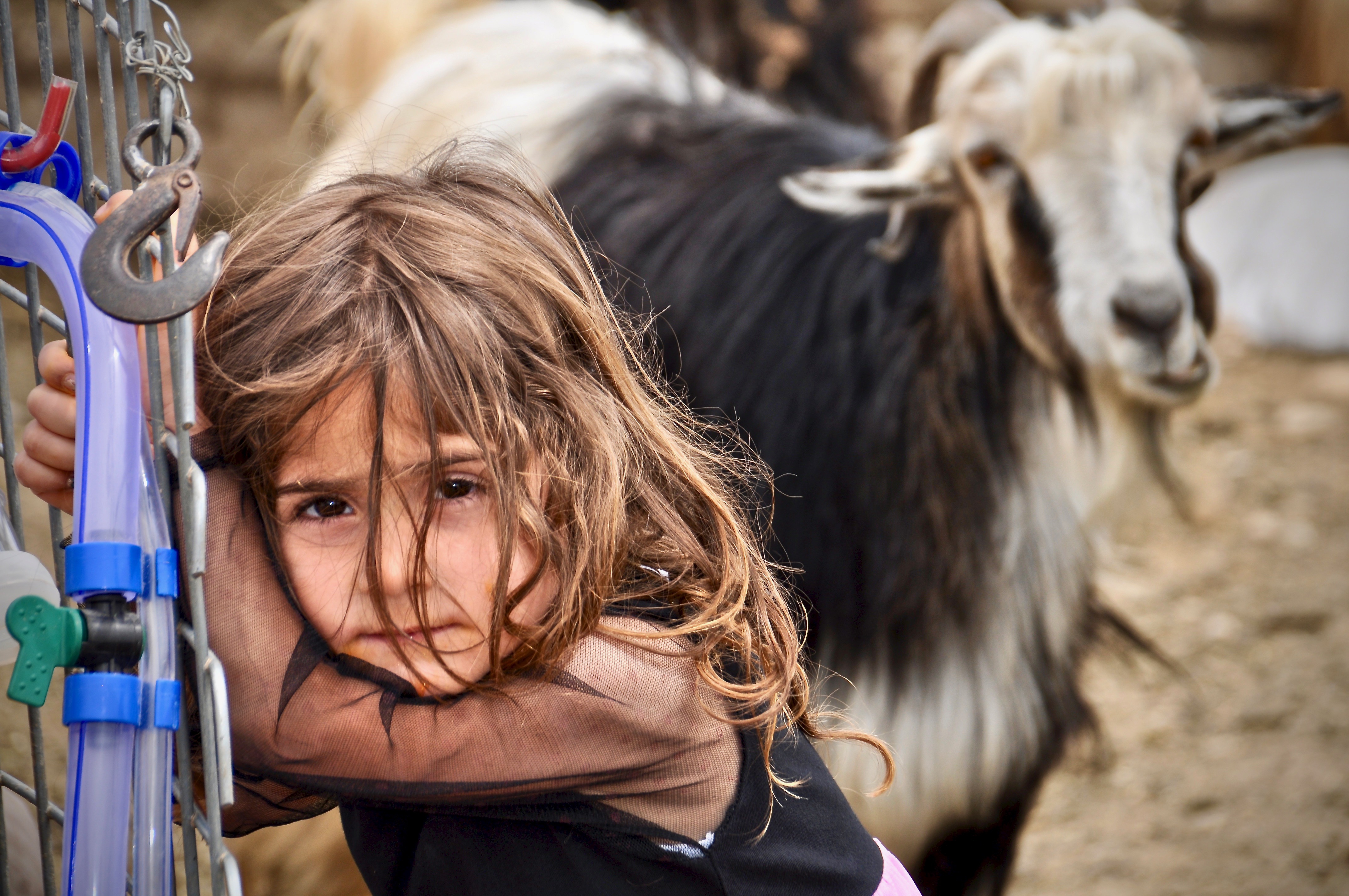 Kurdisches Mädchen einer Hirtenfamilie