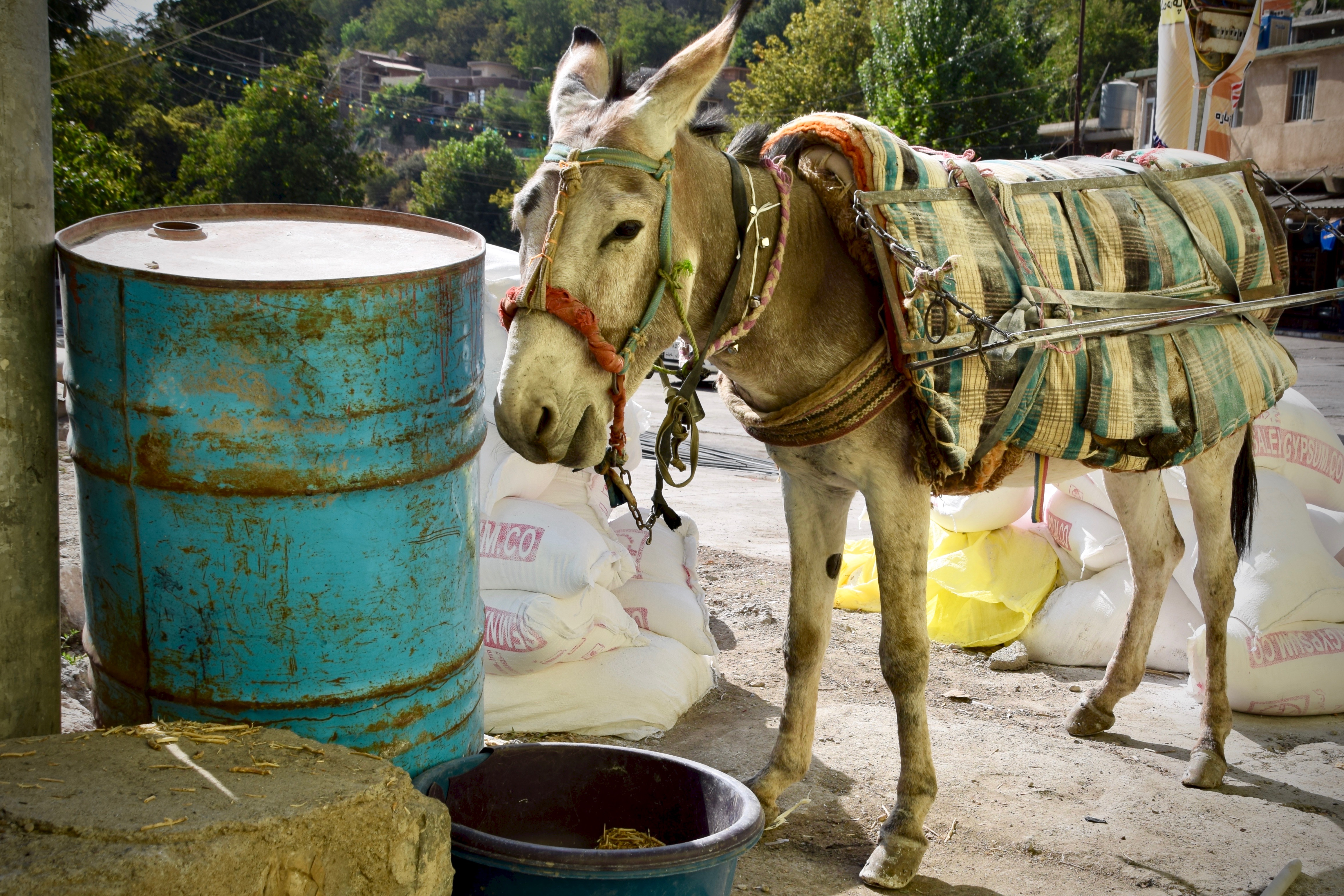 Heu für den Esel an der Kraftstation in Penjiwen, Kurdistan