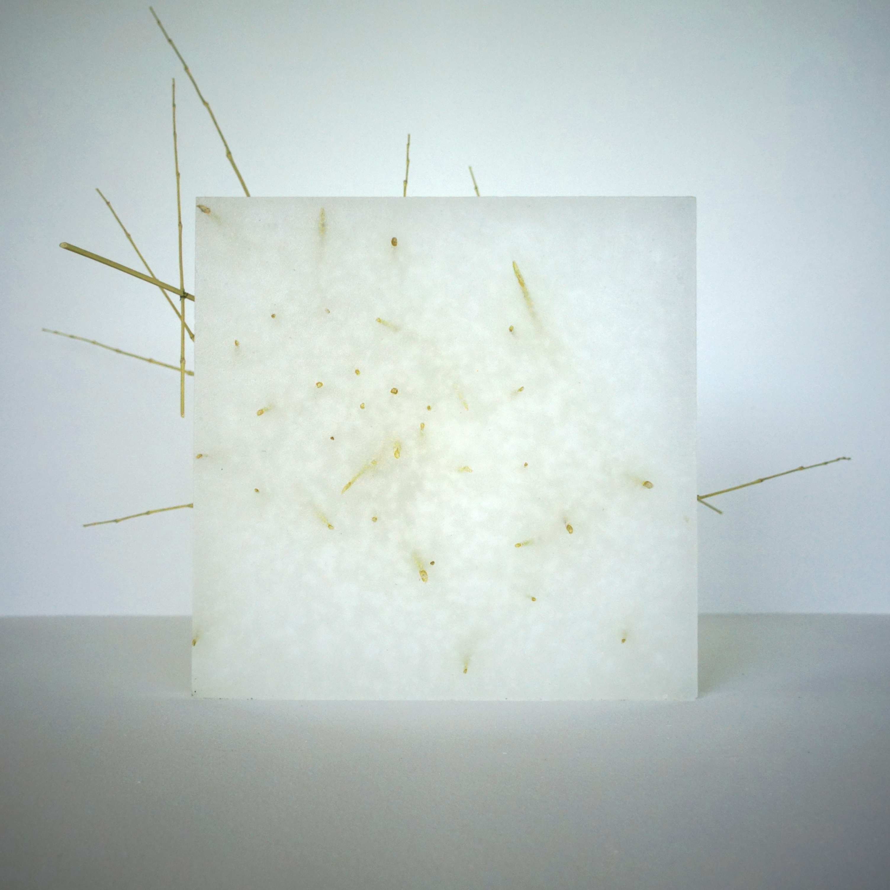 SCULPTURE PARAFFINE 03