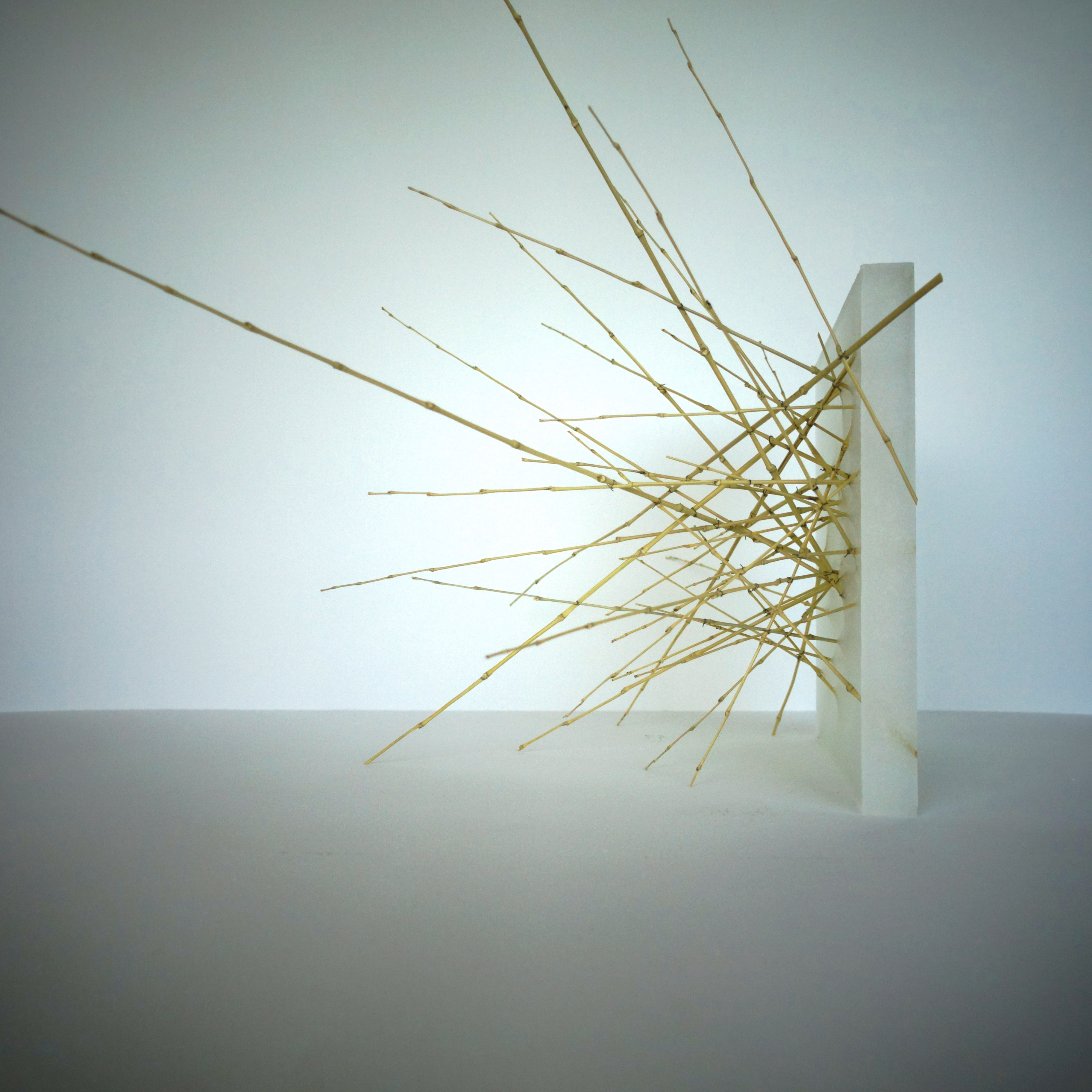 SCULPTURE PARAFFINE 03