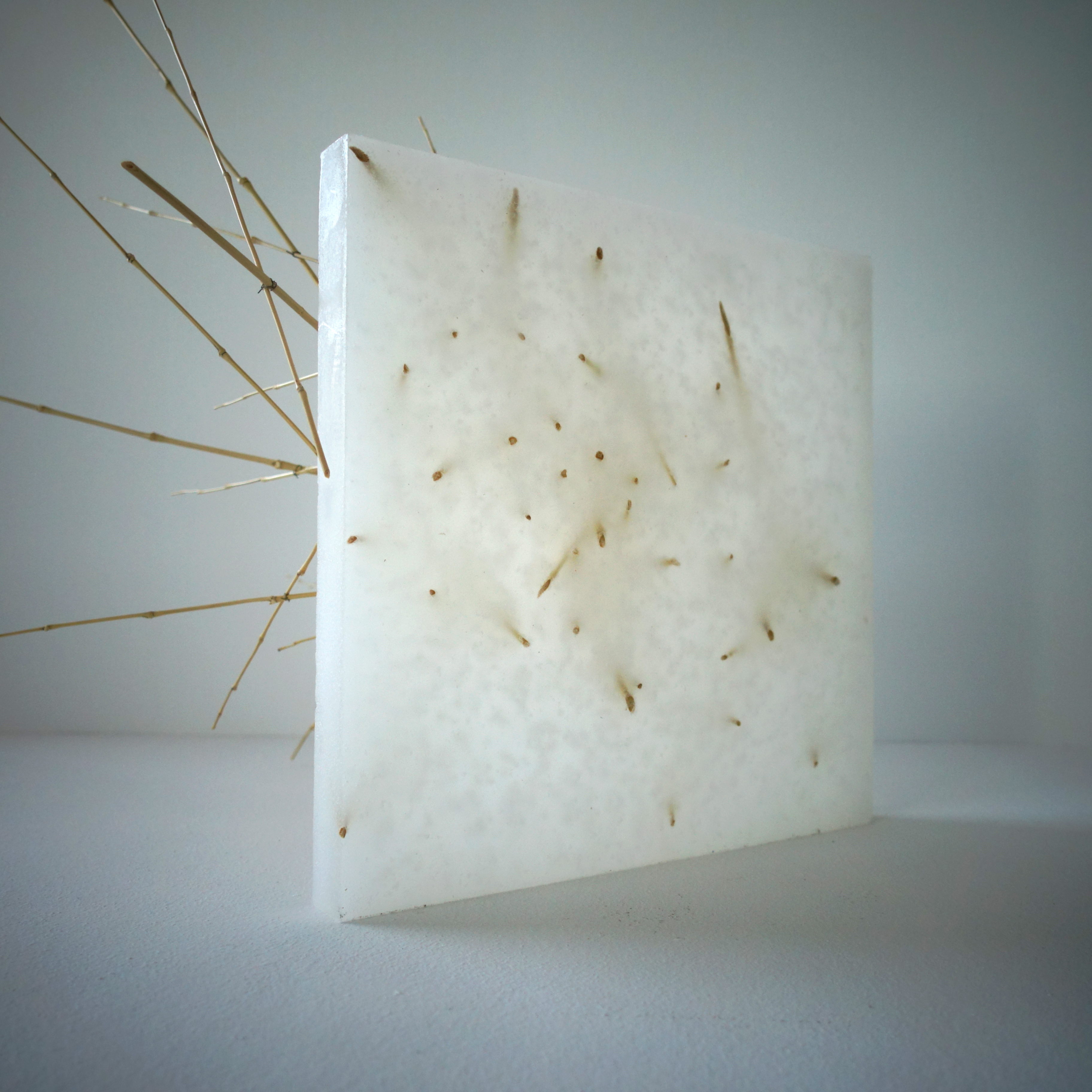 SCULPTURE PARAFFINE 03