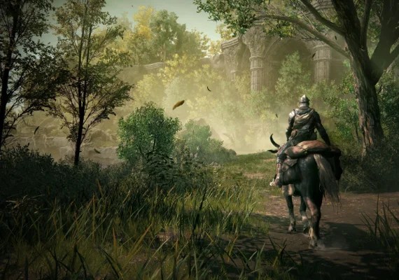 ELDEN RING Prod1 (3)_(2)