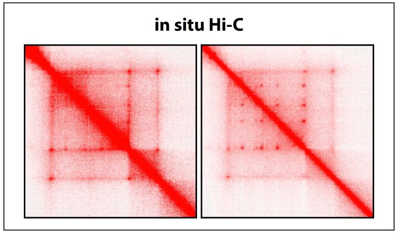 Nih Regulome Protocols - Space Illustrations - Incredible Desktop Collection