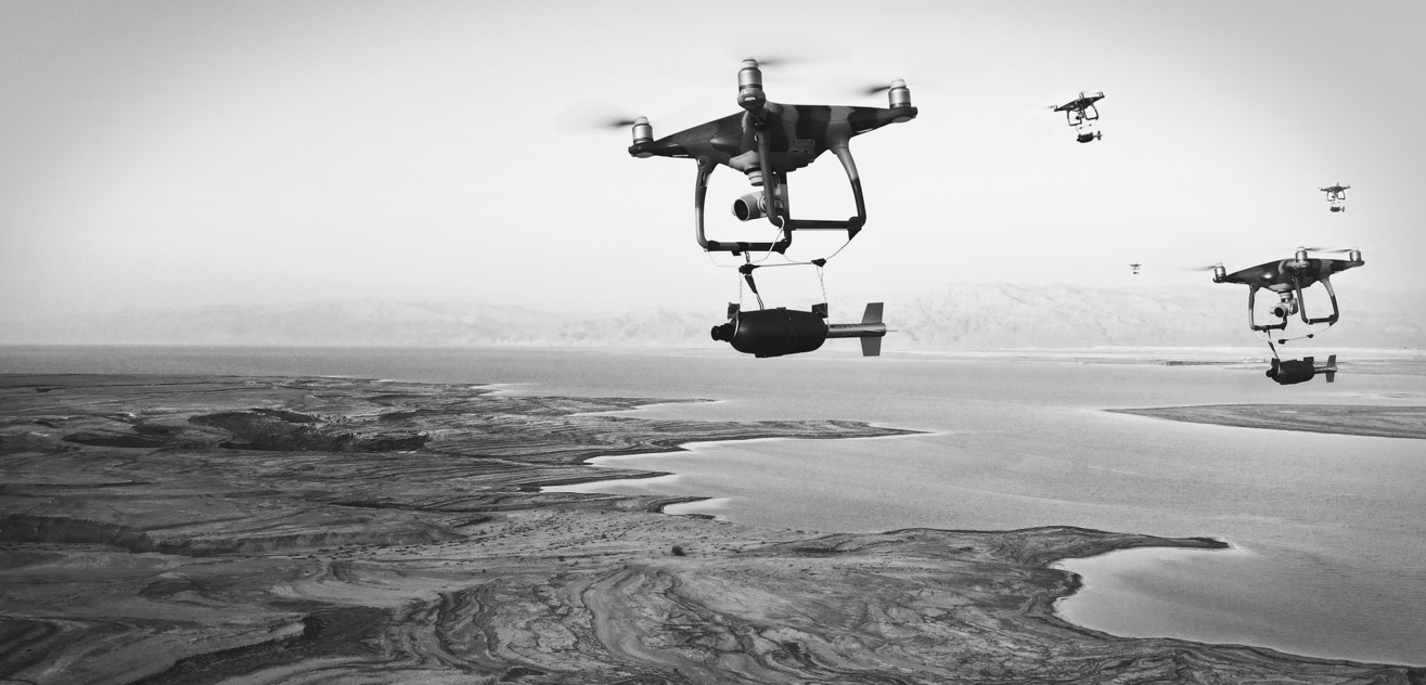 Regulus Cyber Launches Ring - Premium Mountain Illustration Gallery - 4K