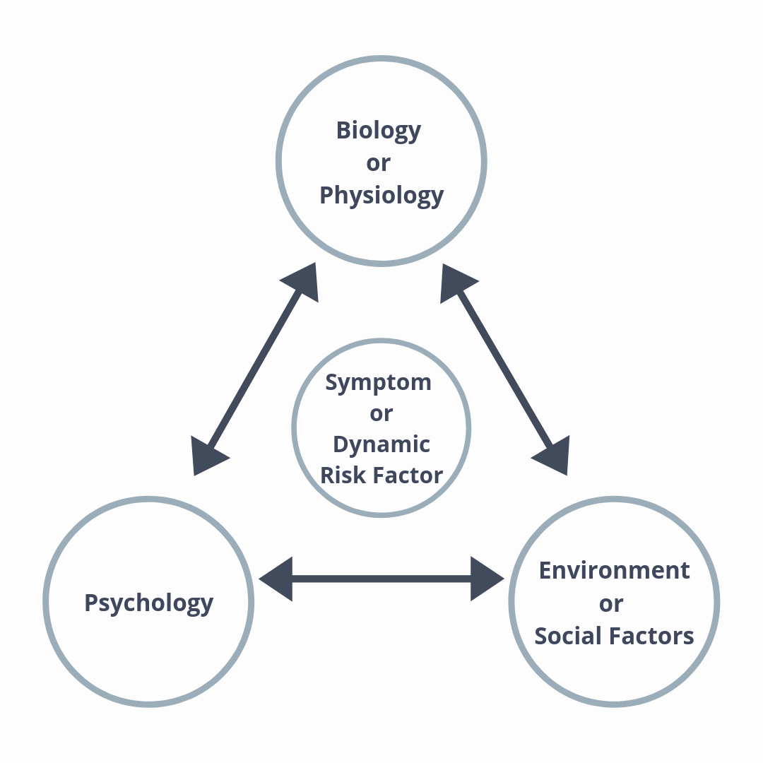 Social Work Biopsychosocial Assessment Template