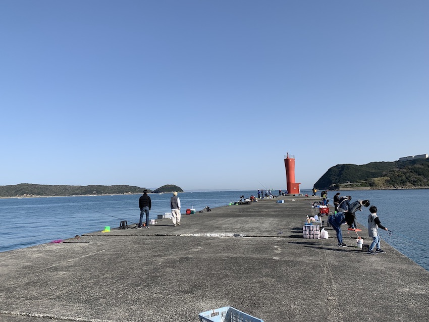 【加太港】マダイや青物などの大物が高実績！釣り場情報まとめ