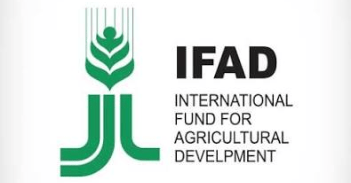 IFAD Junior Professional Officer (JPO) Programme 2026: Launch Your International Development Career with the United Nations