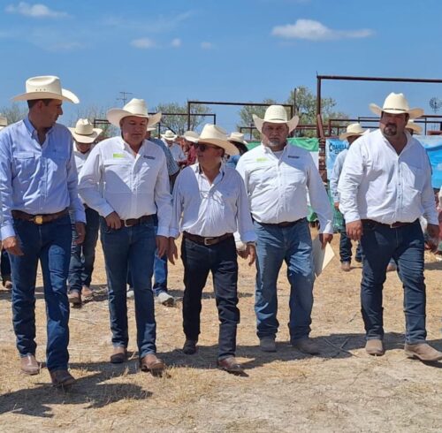 Impulsan mejoramiento genético de ganado bovino en la región de los Cinco Manantiales