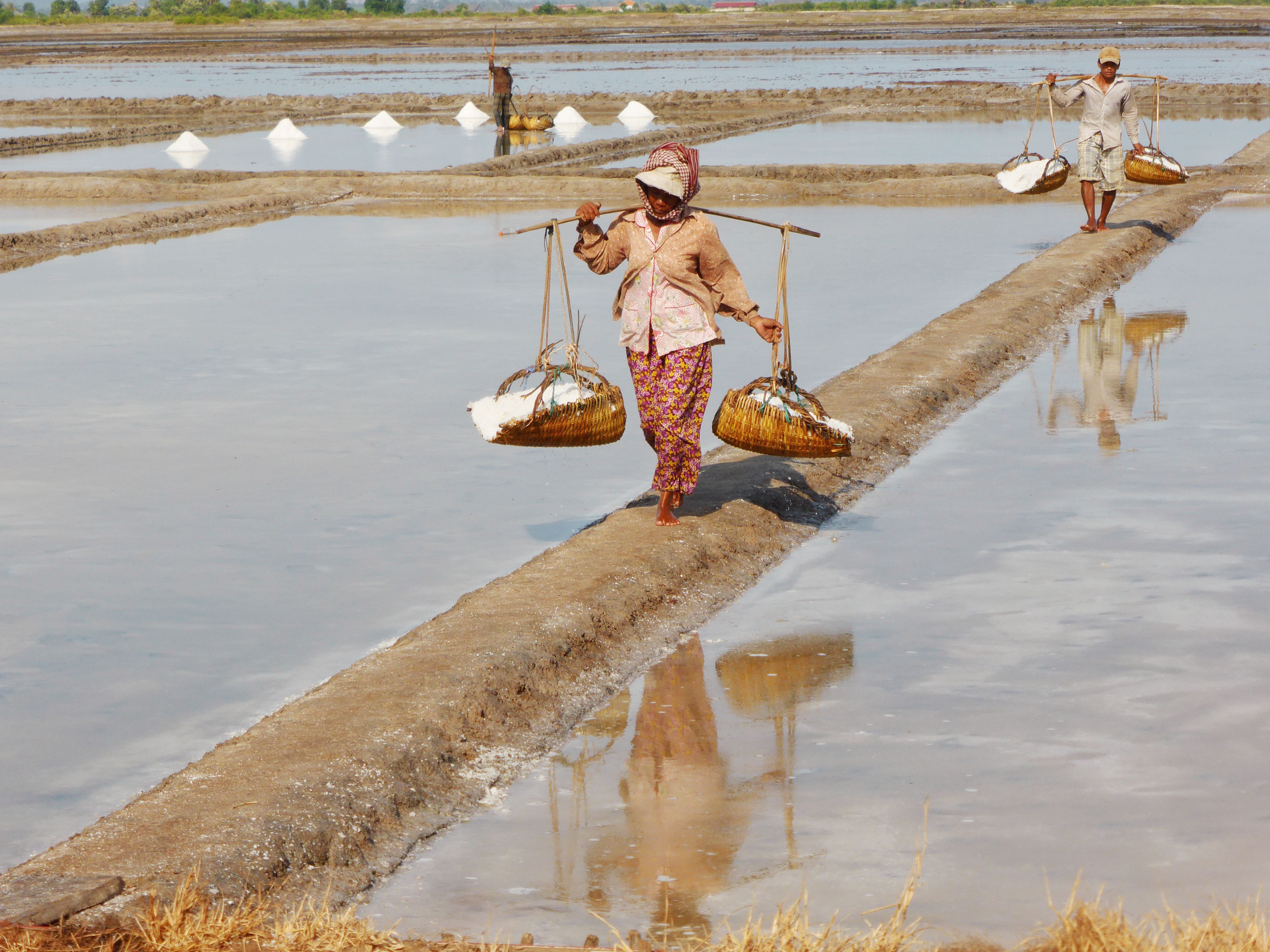 salt lake around Kampot
