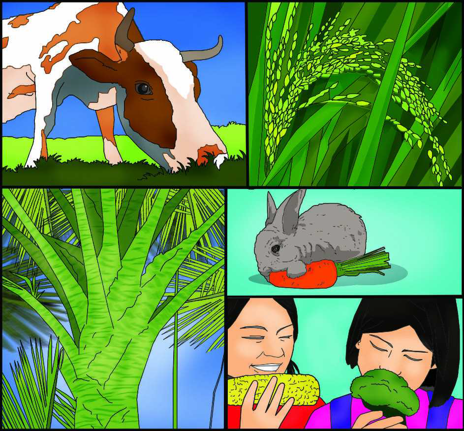 Pembelajaran kelas 6 sekolah dasar tematik kurikulum 2013 tema 1 selamatkan makhluk hidup subtema 1 tumbuhan sahabatku pembelajaran 1 semoga . Kelas 6 Tema 1 Selamatkan Makhluk Hidup Rekan Kata