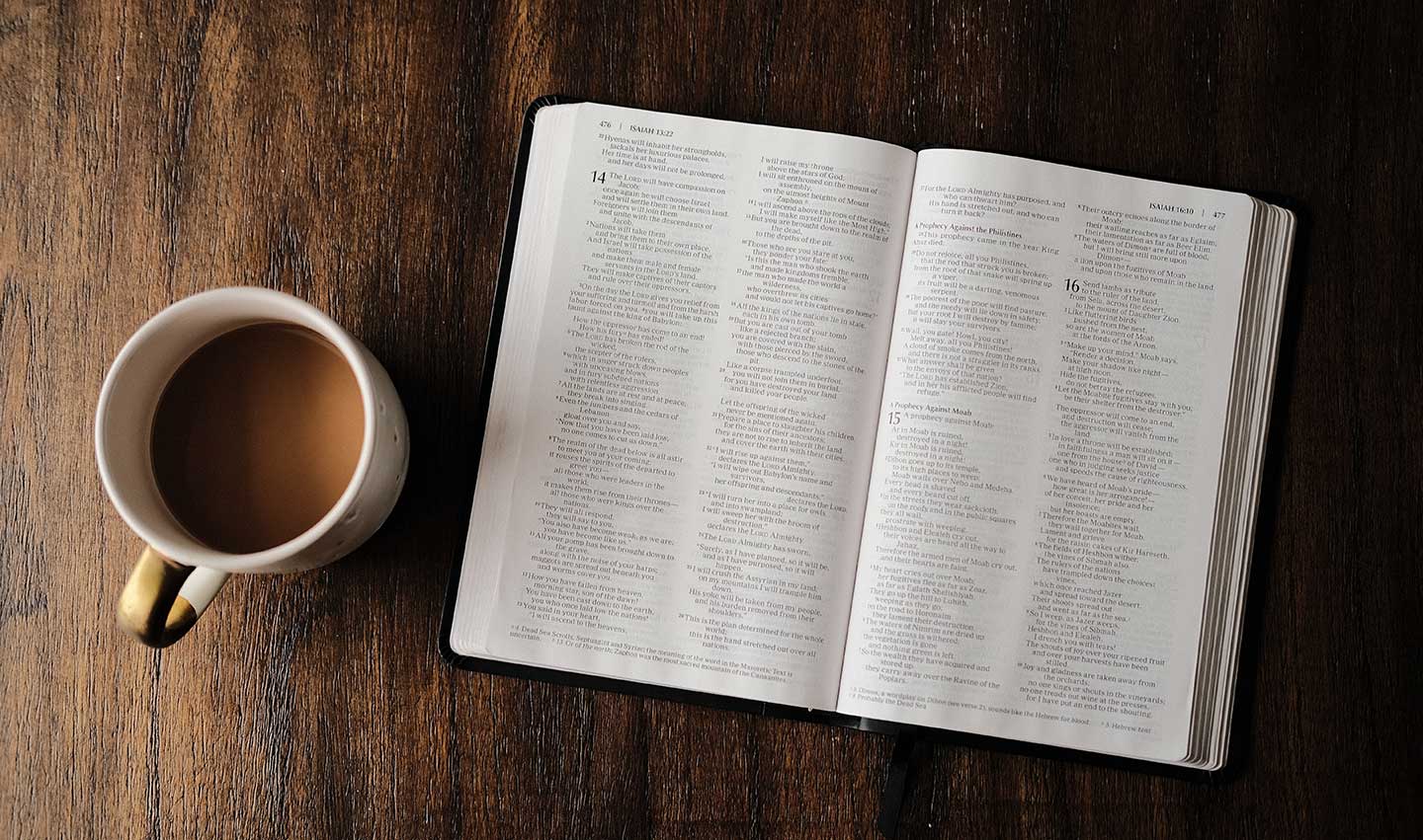  On Ray Fort Not only is it predestined that they will be saved it is predestined that a certain person will share the gospel that they will believe.