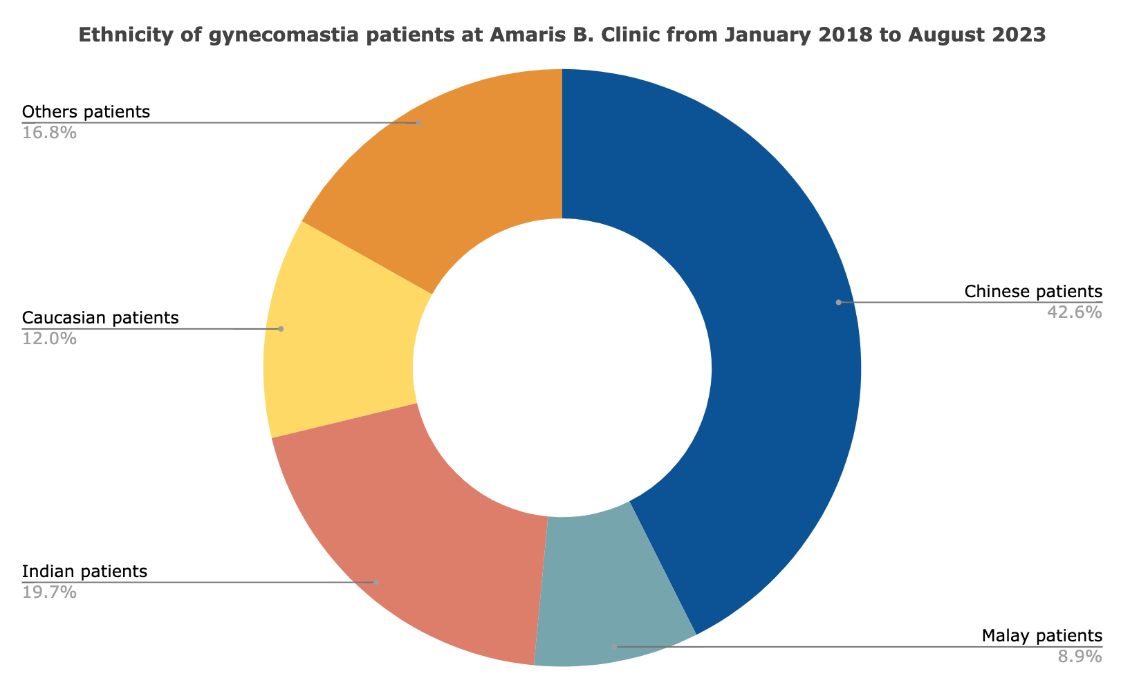 Ethnicity of gynecomastia patients at Amaris B. Clinic from January 2018 to December 2024
