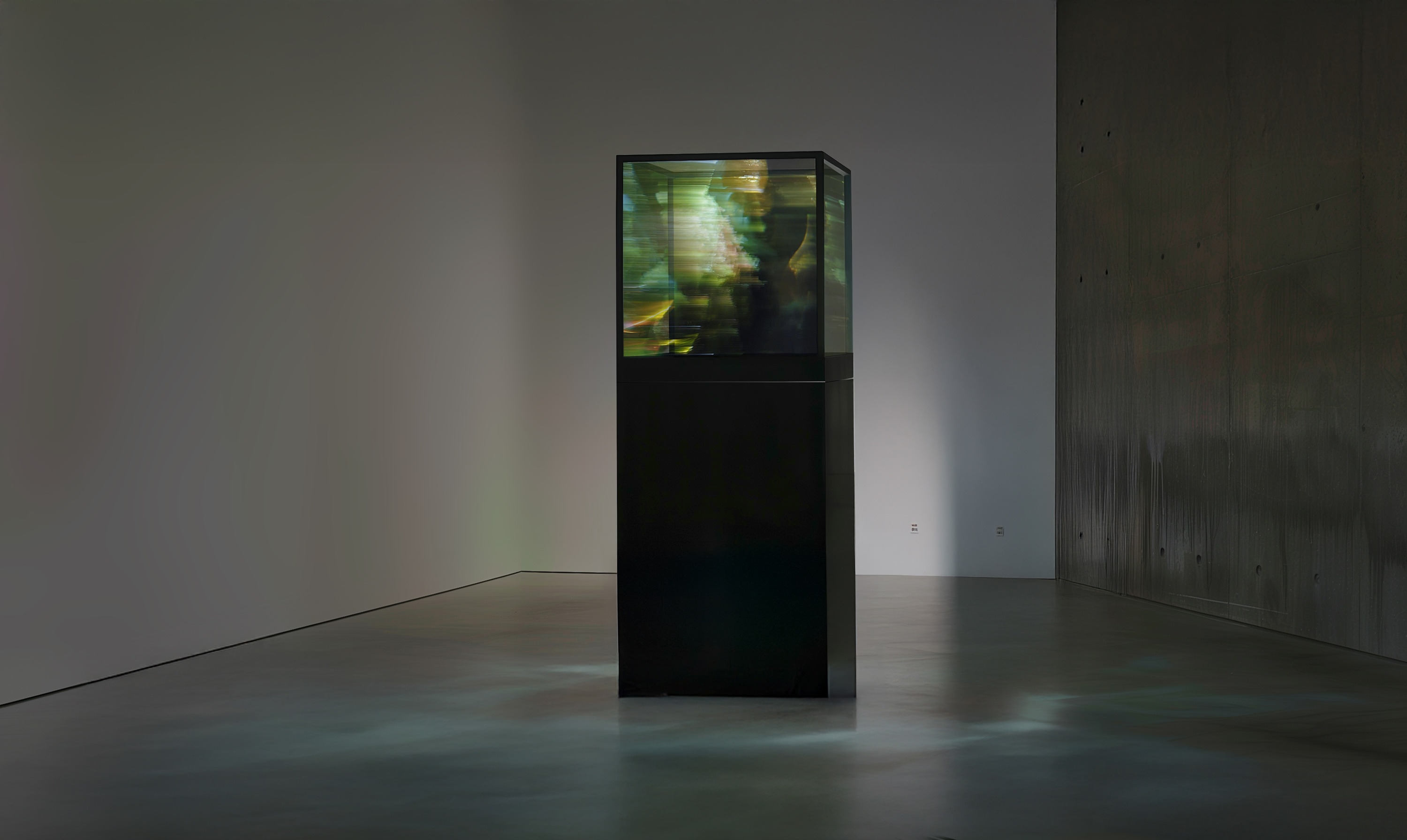 Maja Petric, 'Specimens of Time: Hoh Rain Forest', 2024, Optical filters, reflective materials, projectors, computer, metal hardware, 81.3 x 106.5 x 81. (Courtesy of the Artist & HOFA)