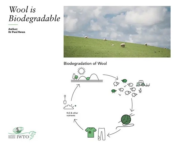 biodegradable filters