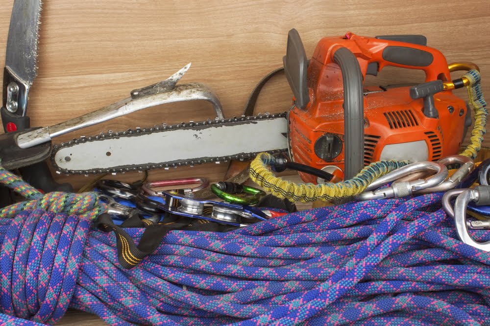 Arborist