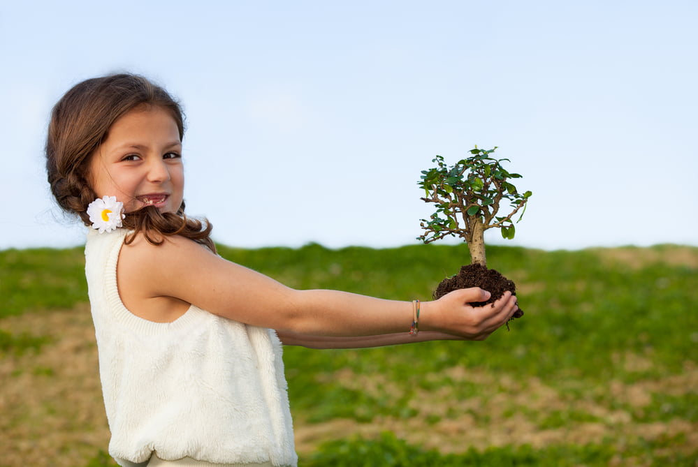 Sapling Planting
