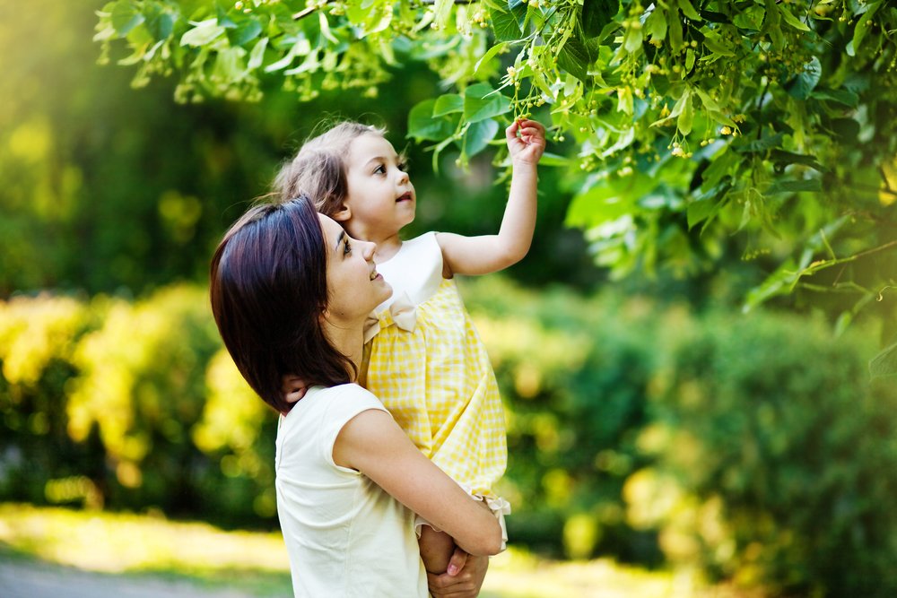 Tree Fertilization