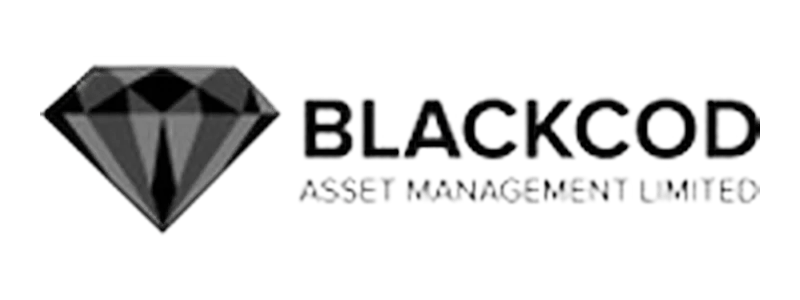 blackcode asset management