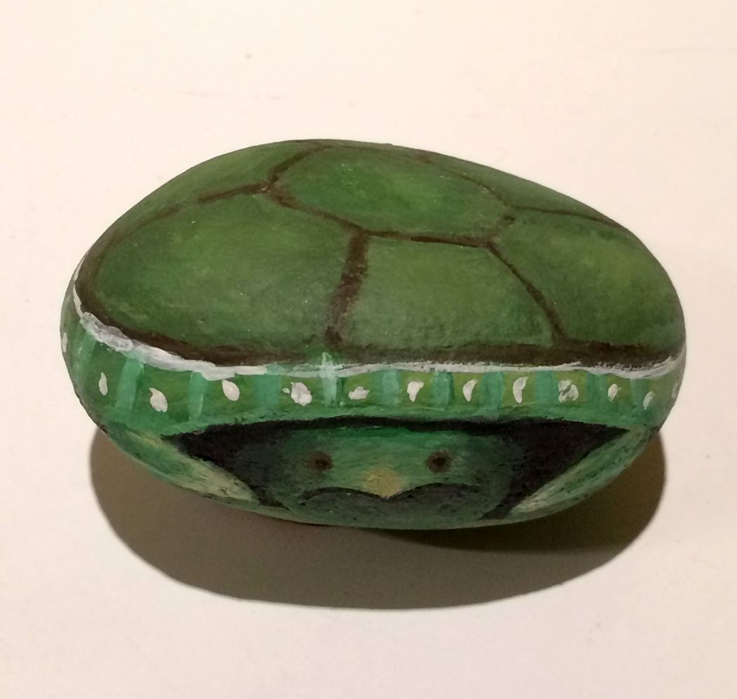 my shy little turtle